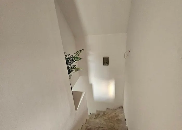 Kudowa, Brzozowie 26 House Whole * 쿠도바-즈루이